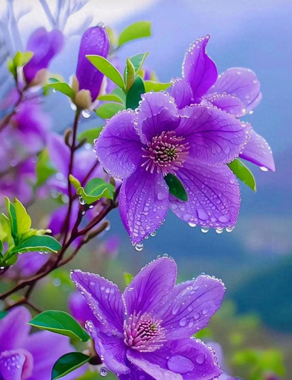 允许一切发生，在接纳中沉淀，在释然中前行，把日子过成诗