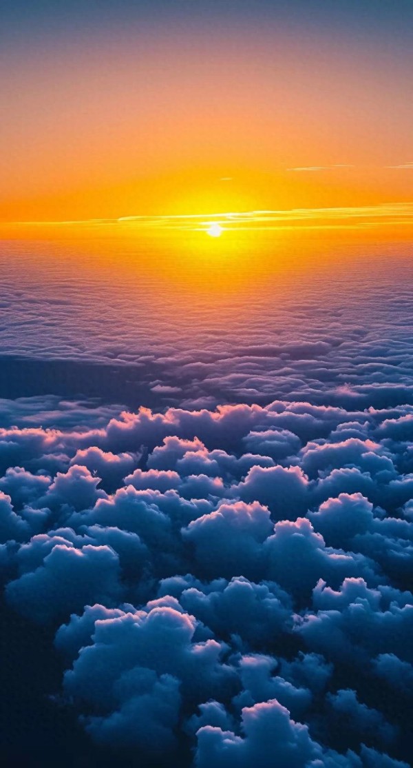 研究孙感悟 破解孩子情绪密码：父母必读的情绪管理秘籍