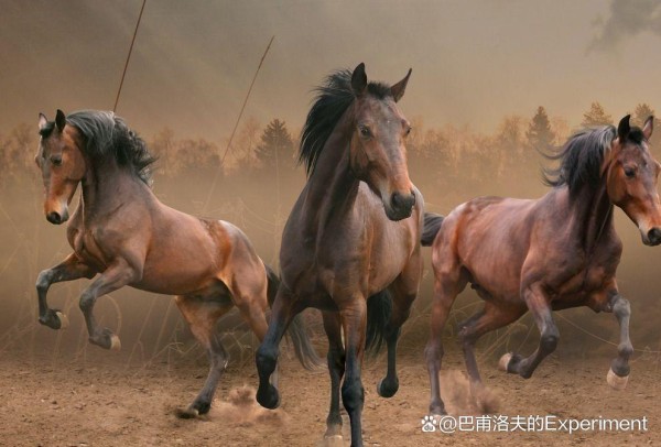 稻盛和夫 说：有本事的人，早就戒掉了情绪！7个情绪管理的方法！