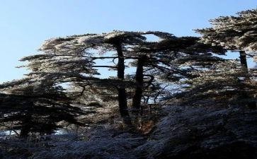 躲猫猫小班教案8篇 追寻游戏乐趣：躲猫猫小班教案