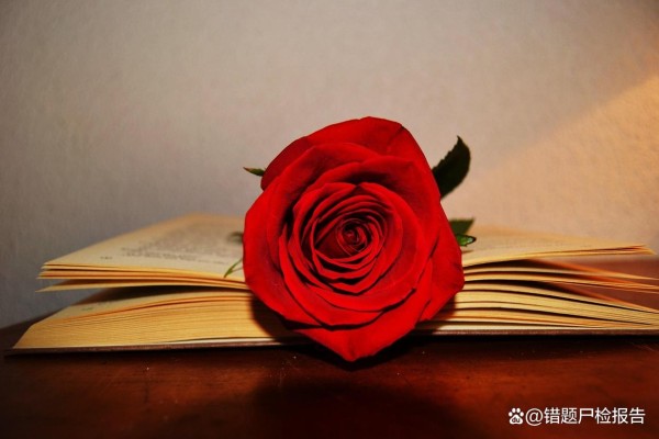 家庭教育心理学：读懂孩子叛逆背后的求救信号，亲子沟通不再难