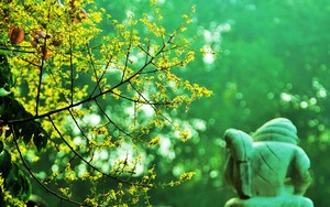 因公出访任务行前公示表