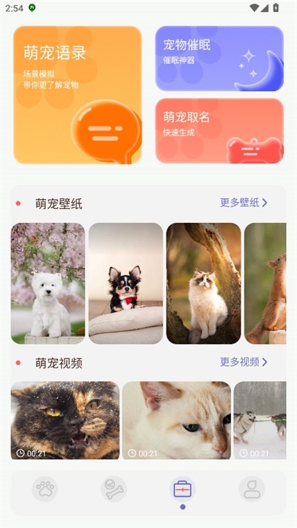 猫咪聊天翻译器