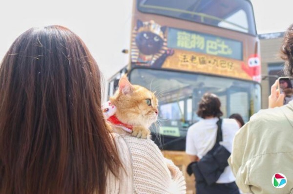 戴庆成：“宠物经济”在香港冒起
