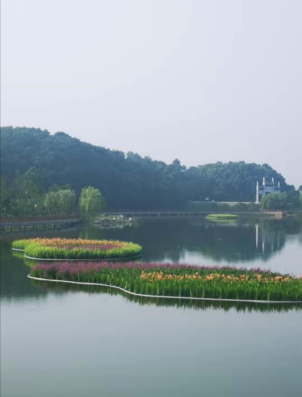 水域生态治理项目实景