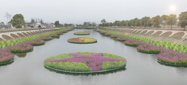 水生植物培育与施工
