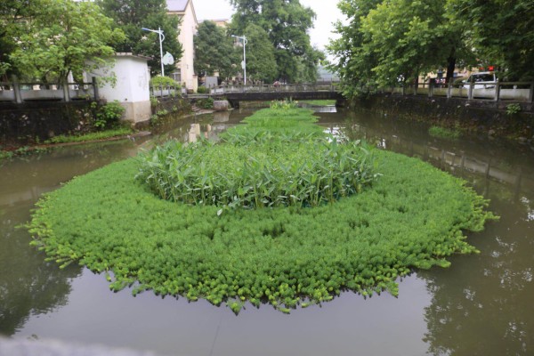 生态修复工程效果展示