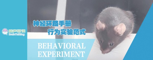 生物钟的季节适应与饮食调控