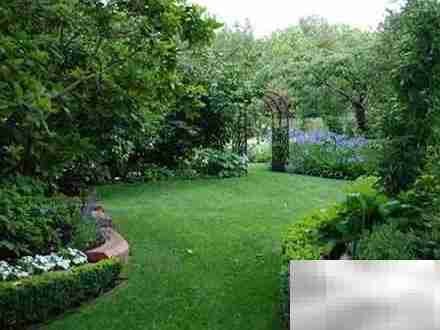 园林植物色彩搭配技巧