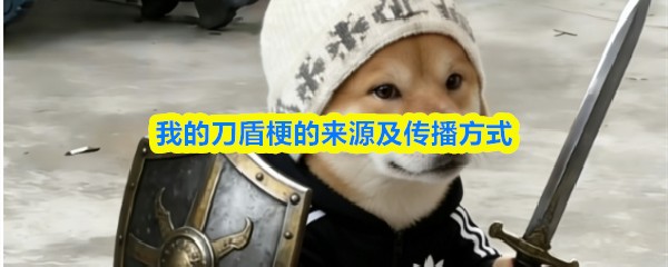 我的刀盾梗的来源及传播方式
