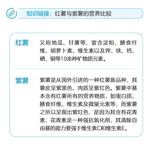 营养师手绘示意图：红薯在人体消化道中的作用路径