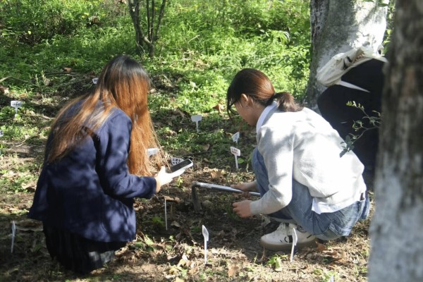 “善爱我·春分焕新”系列心理健康活动圆满结束