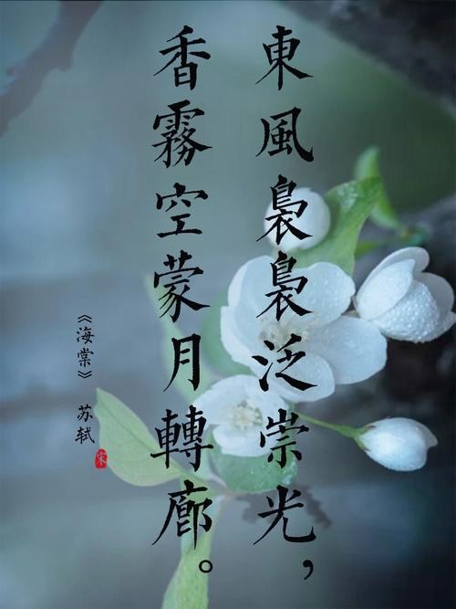 求表现苏轼一种坦然 乐观 豁达心态的诗句（苏轼乐观豁达的诗句加赏析）