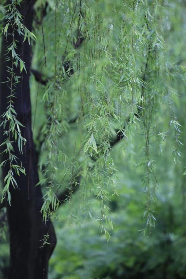 保持好心情和心态平和，才会拥有人生的幸福和快乐