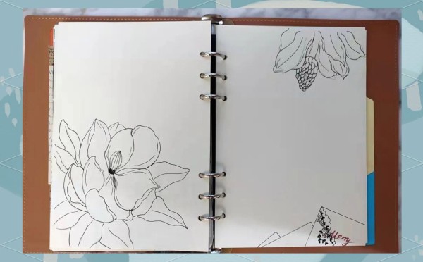 手帐艺术与创意手帐创作体验