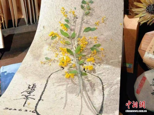 台湾押花艺术家张正苓与云南的“花样情缘”