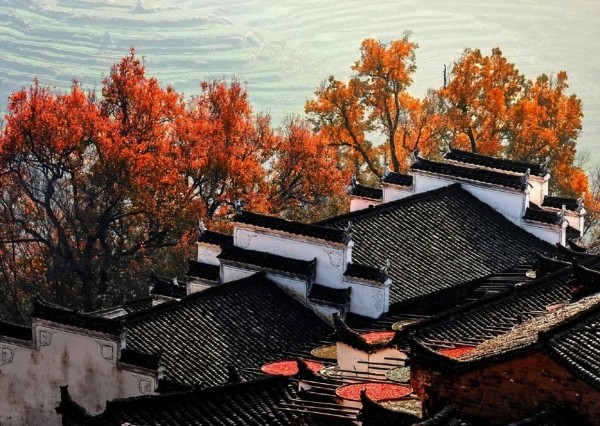 世界上最健康的10种生活方式（建议保存）