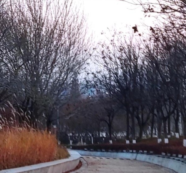 最好的生活方式是这样做的