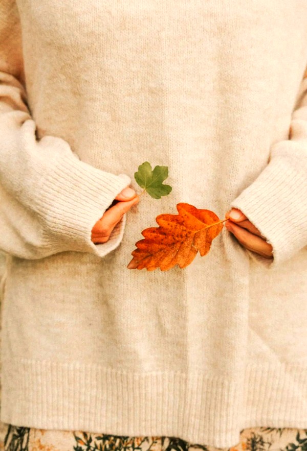 人生后半段，探寻最优质的生活方式：探索“四个字”的智慧