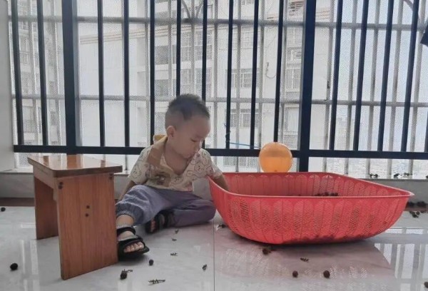 普通家庭的父母注意了！给孩子最好的托举，就是这8个育儿常识