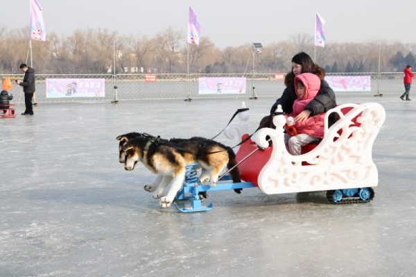 北京市属公园冰场陆续开放 解锁冬日限定欢乐