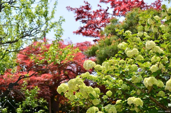 真正幸福的婚姻，具备这4个特点，中一半以上也会很幸福