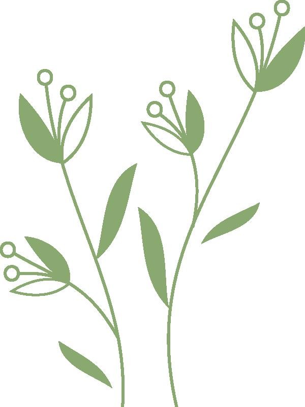 中信荐读：探寻人生哲理与智慧的书籍推荐