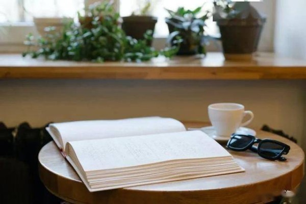 推荐一本绝版多年的大师传记