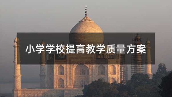 小学学校提高教学质量方案