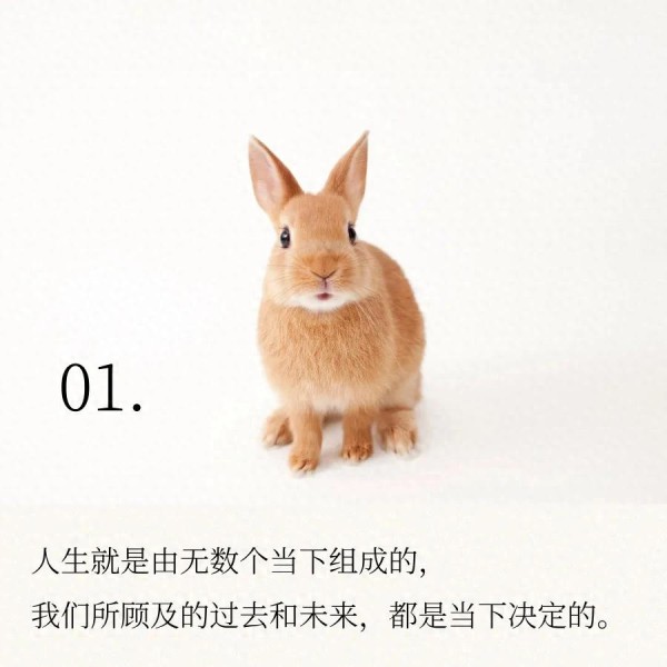 乐观快乐的秘诀