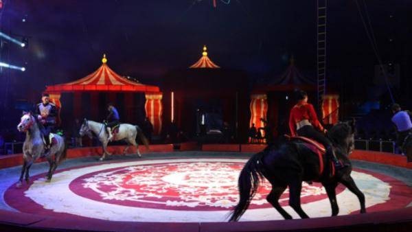 打铁花、电音派对、日夜演艺……城阳区这一街区点燃“春日经济”