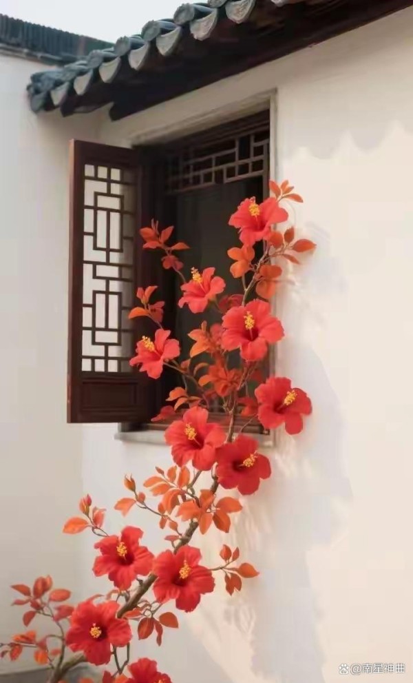 短篇小说：快乐之道