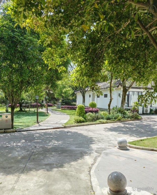 享受独处：一个人宅家的生活，到底有多舒服？