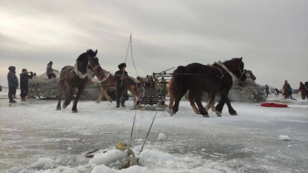 【自驾指南】冬季去查干湖看冬捕怎么走?