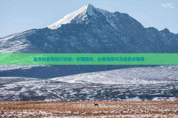 全方位自驾旅行攻略：详细路线、必备指南与沿途景点推荐