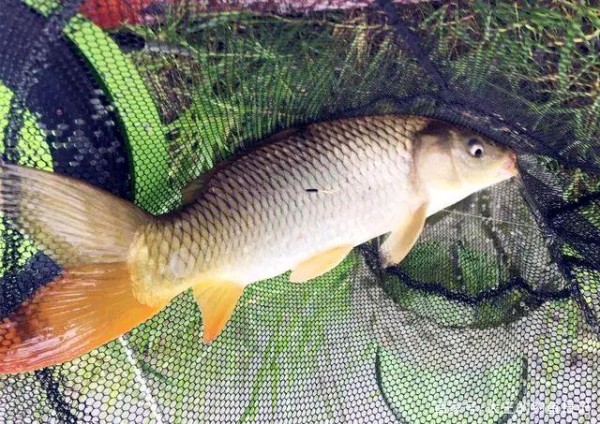 根据四季不同，浅析每个季节需注意的3个不同事项