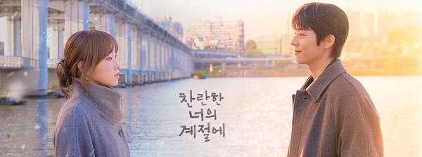 在你灿烂的季节