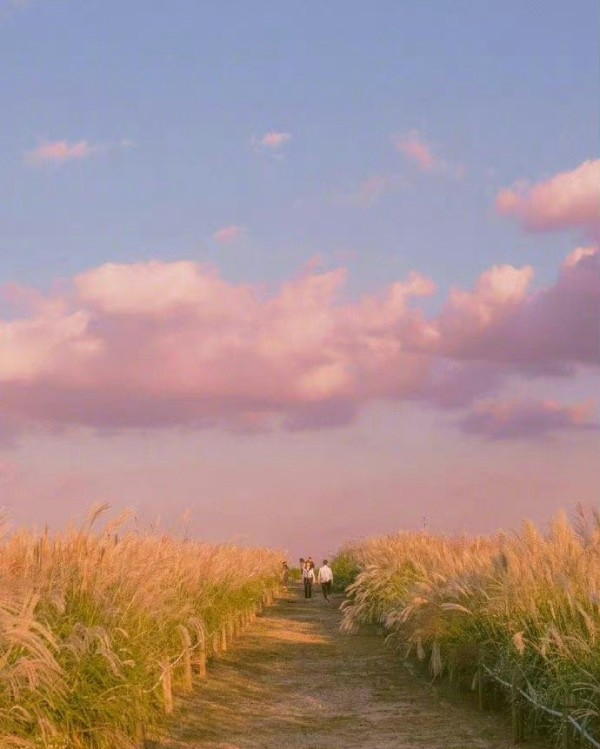 王小波《黄金时代》倡导正直快乐人生