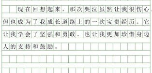 妹调教日记完整版下载-妹调教日记下载