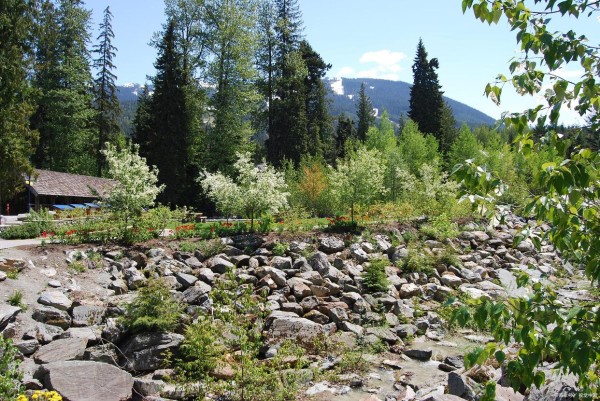 正确看待中西文化的碰撞，自觉地融合与发展文化，才能传承和创新