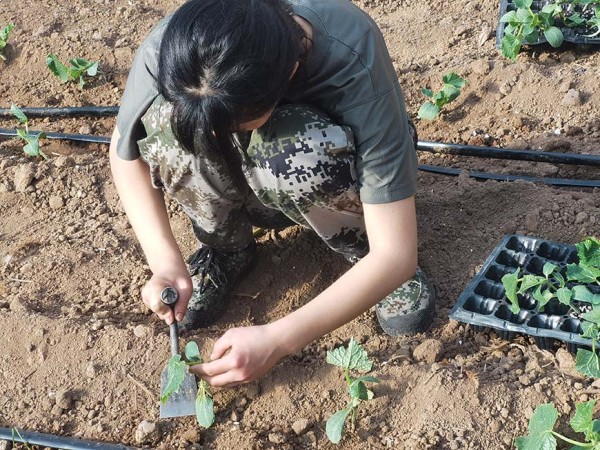 十大排名青少年叛逆戒网瘾学校