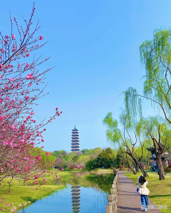 活着，就是最大的胜利：学会调整心态，拥抱从容与乐观