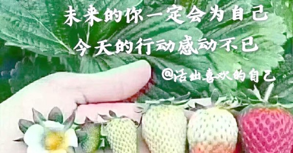 《无悔当下》的音乐力量与生活启示