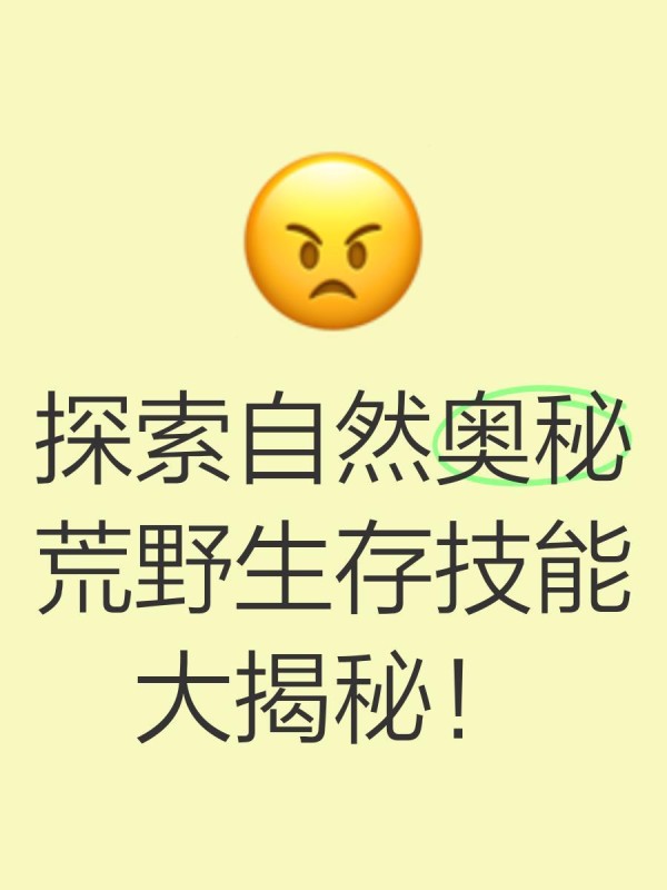 探索自然奥秘，荒野生存技能大揭秘！