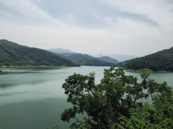 野外生存必备技能：从水源到庇护所的全方位攻略