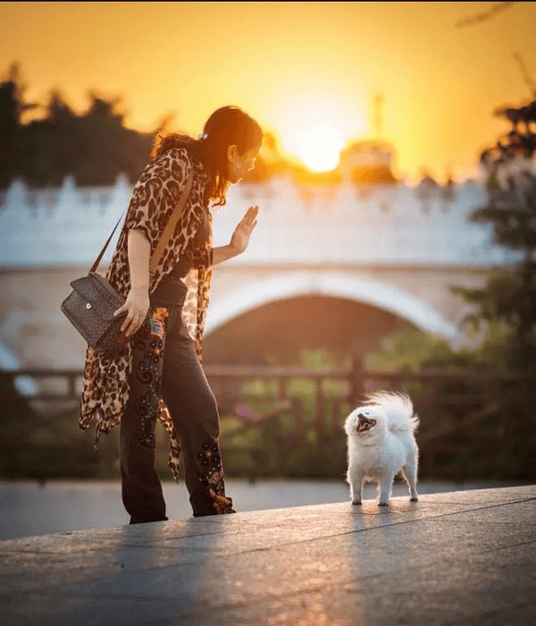 吕文扬演说家以情抒怀点亮平凡人生