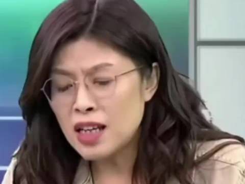 郑丽文：绿营天天想着以卵击石