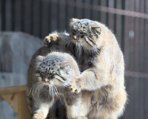 妹妹不想结婚后降低生活标准，和男友分手了，现在被家里人指责，她有错吗？