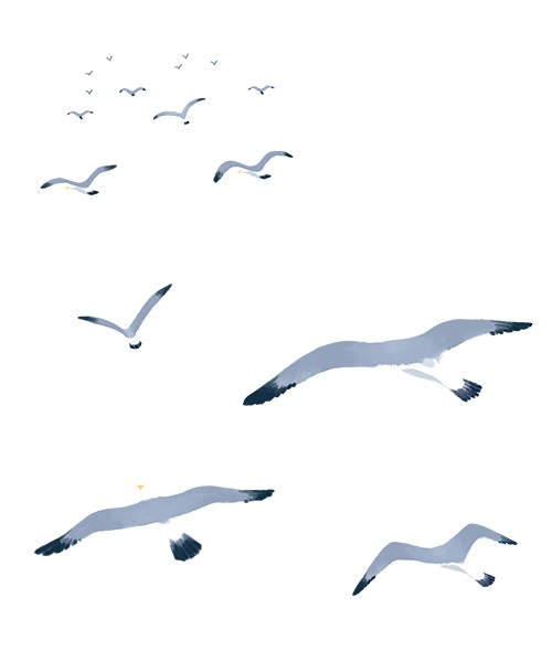 【云图百科】华夏典藏:故宫博物院——清明上河图