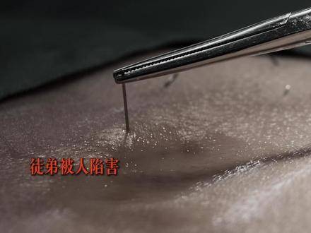 在师长眼中，江寒声始终是那个被格外眷顾的“小狗崽子”